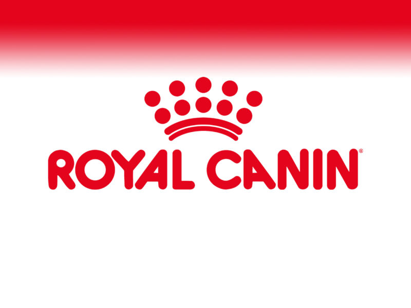 Րոյալ Գանին - Royal Canin - Բարձրակարգ կերեր և շատ աւելին