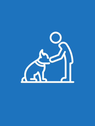 Շների Վարժեցնողներ • Dog Trainers