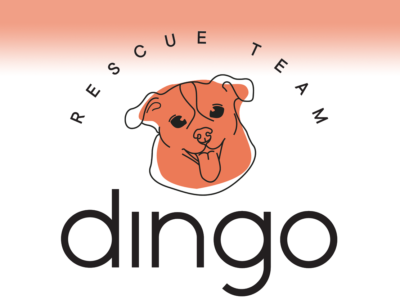 ԴԻՆԳՈ Փրկարար Թիմ - DINGO Rescue Team